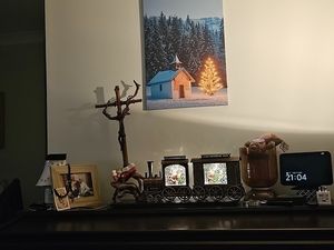 Image chosen by user
