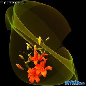 Image chosen by user