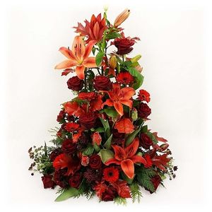 Image chosen by user