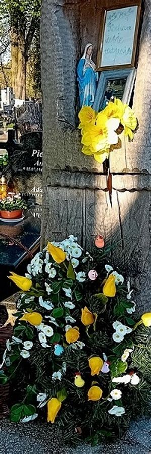 Obrazek wybrany przez użytkownika