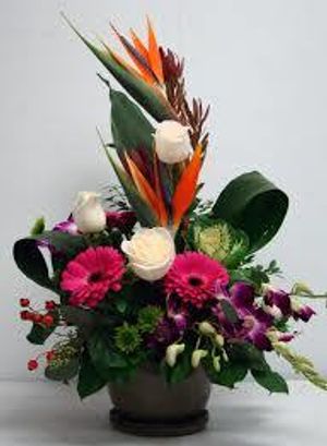 Image chosen by user