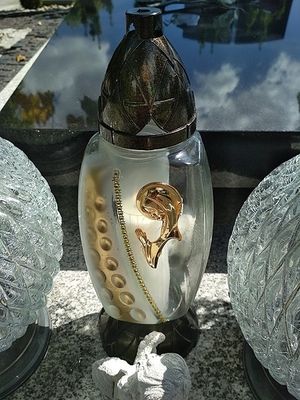 Image chosen by user