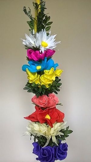Image chosen by user