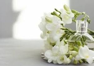 Image chosen by user