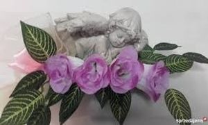 Image chosen by user