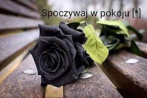 Image chosen by user