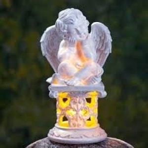 Image chosen by user