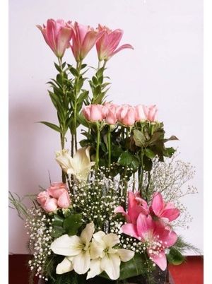 Image chosen by user