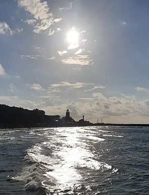Obrazek wybrany przez użytkownika