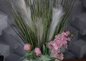 Image chosen by user