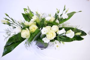 Image chosen by user