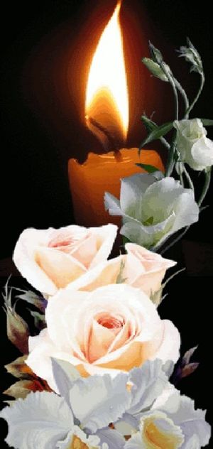 Image chosen by user