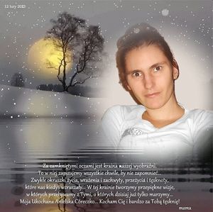 Image chosen by user