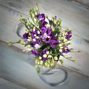 Image chosen by user