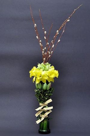 Image chosen by user