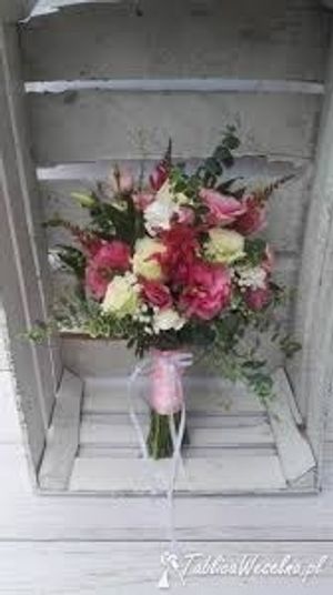 Image chosen by user