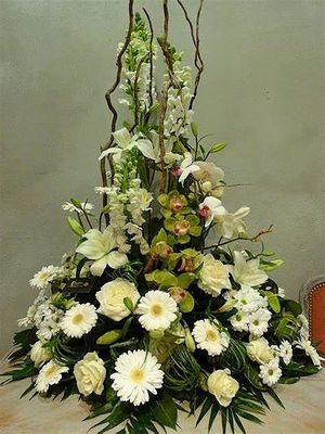 Image chosen by user