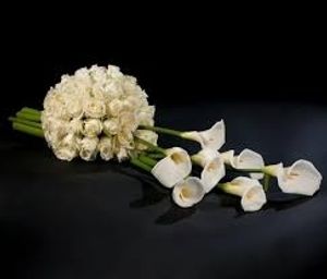 Image chosen by user