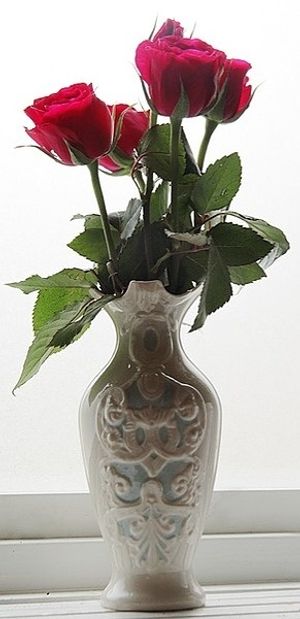 Image chosen by user