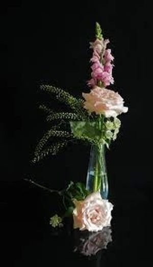 Image chosen by user