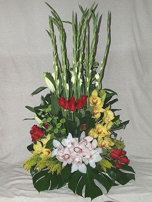 Image chosen by user