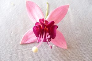 Image chosen by user