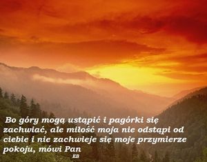 Image chosen by user