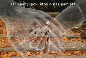 Image chosen by user