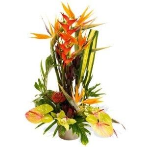 Image chosen by user