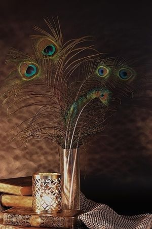 Image chosen by user