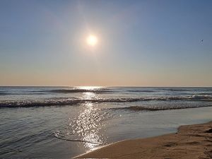 Image chosen by user
