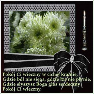 Obrazek wybrany przez użytkownika