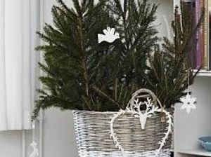 Image chosen by user
