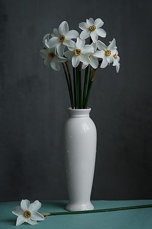 Image chosen by user