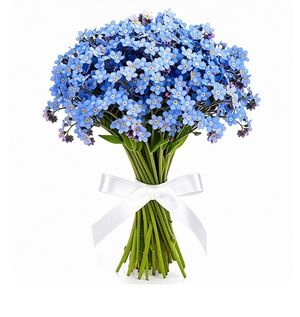 Image chosen by user