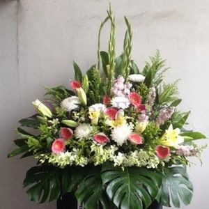 Image chosen by user