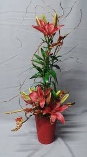 Image chosen by user