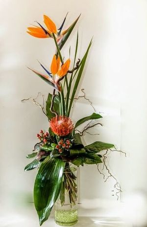 Image chosen by user