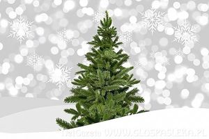 Image chosen by user