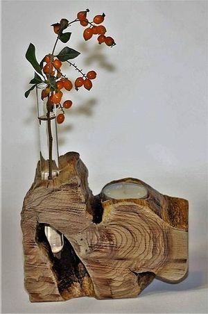 Image chosen by user