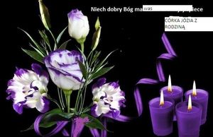 Image chosen by user