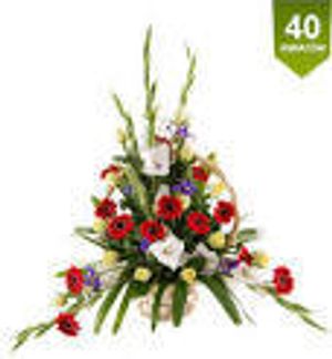 Image chosen by user