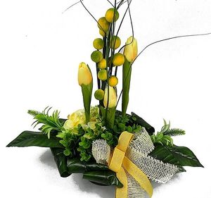 Image chosen by user