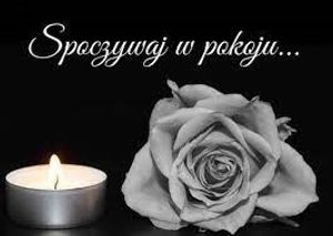 Obrazek wybrany przez użytkownika