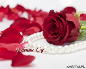 Image chosen by user