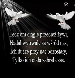 Obrazek wybrany przez użytkownika