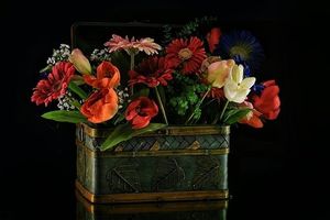 Image chosen by user