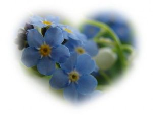 Image chosen by user