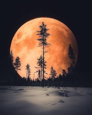 Image chosen by user