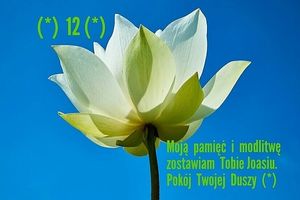 Image chosen by user